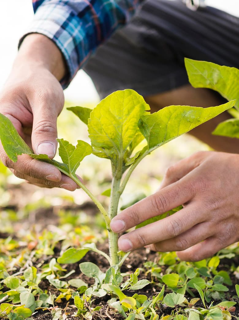 Antigaspillage Brome-Missiquoi