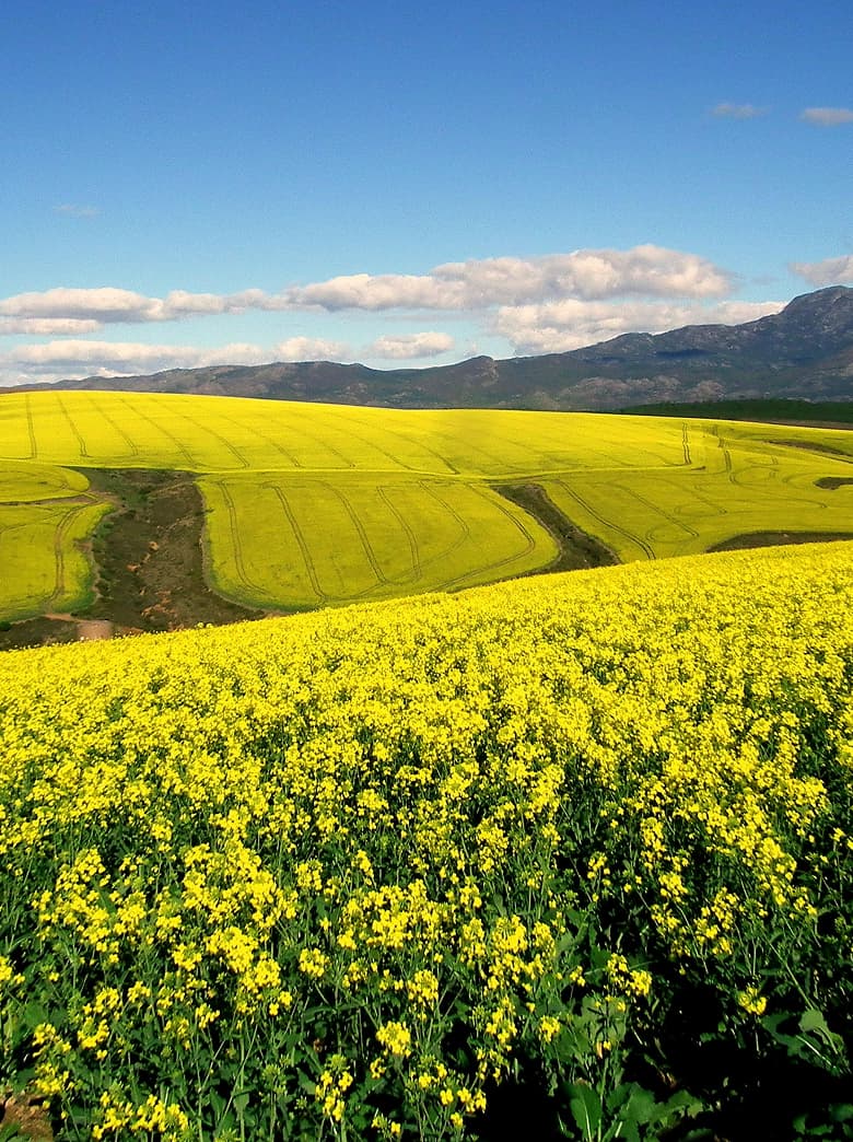 Antigaspillage Brome-Missiquoi