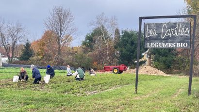 Glanage à la Ferme les Carottés, à Brigham!