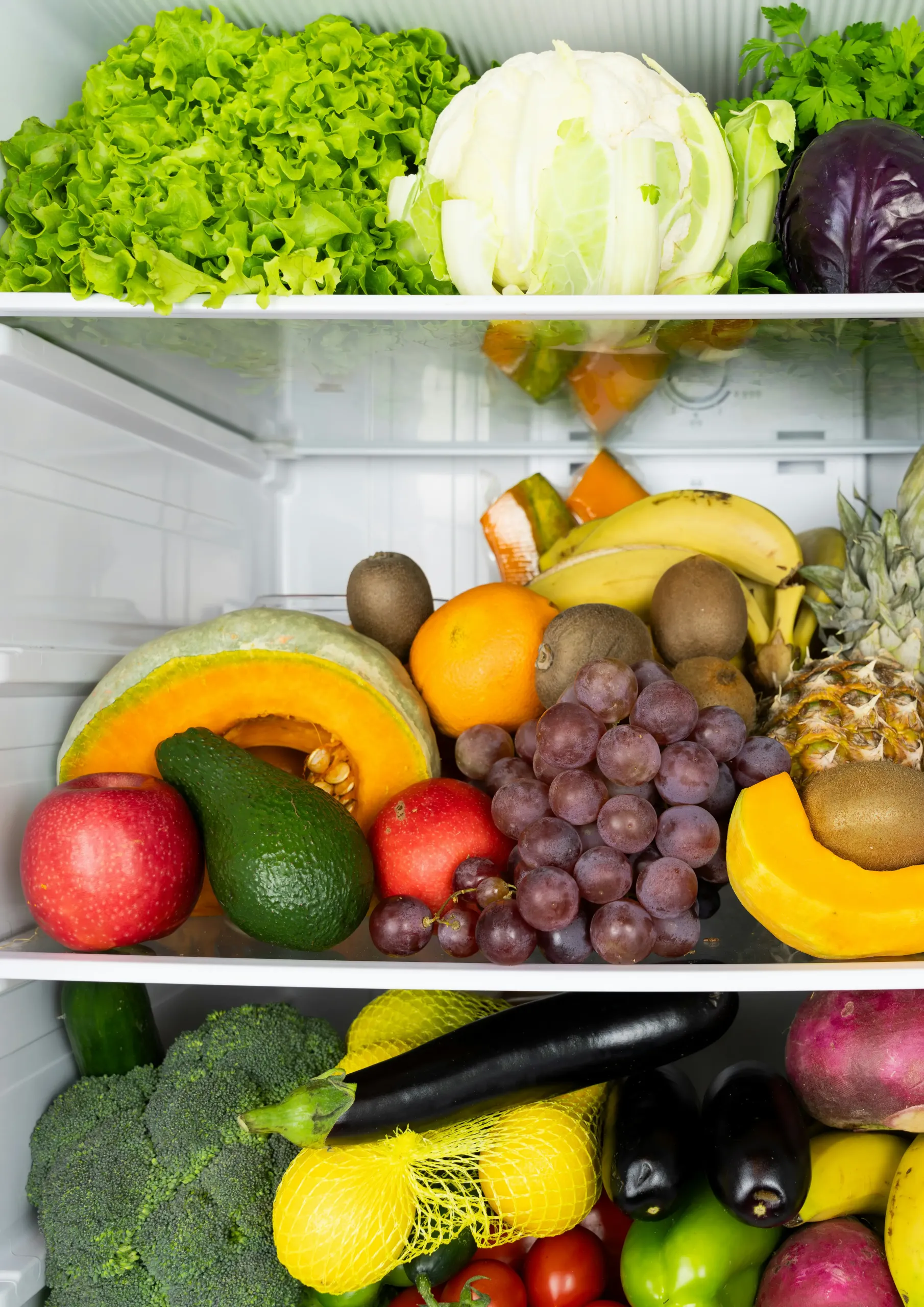 Transformons le gaspillage alimentaire en entraide concrète