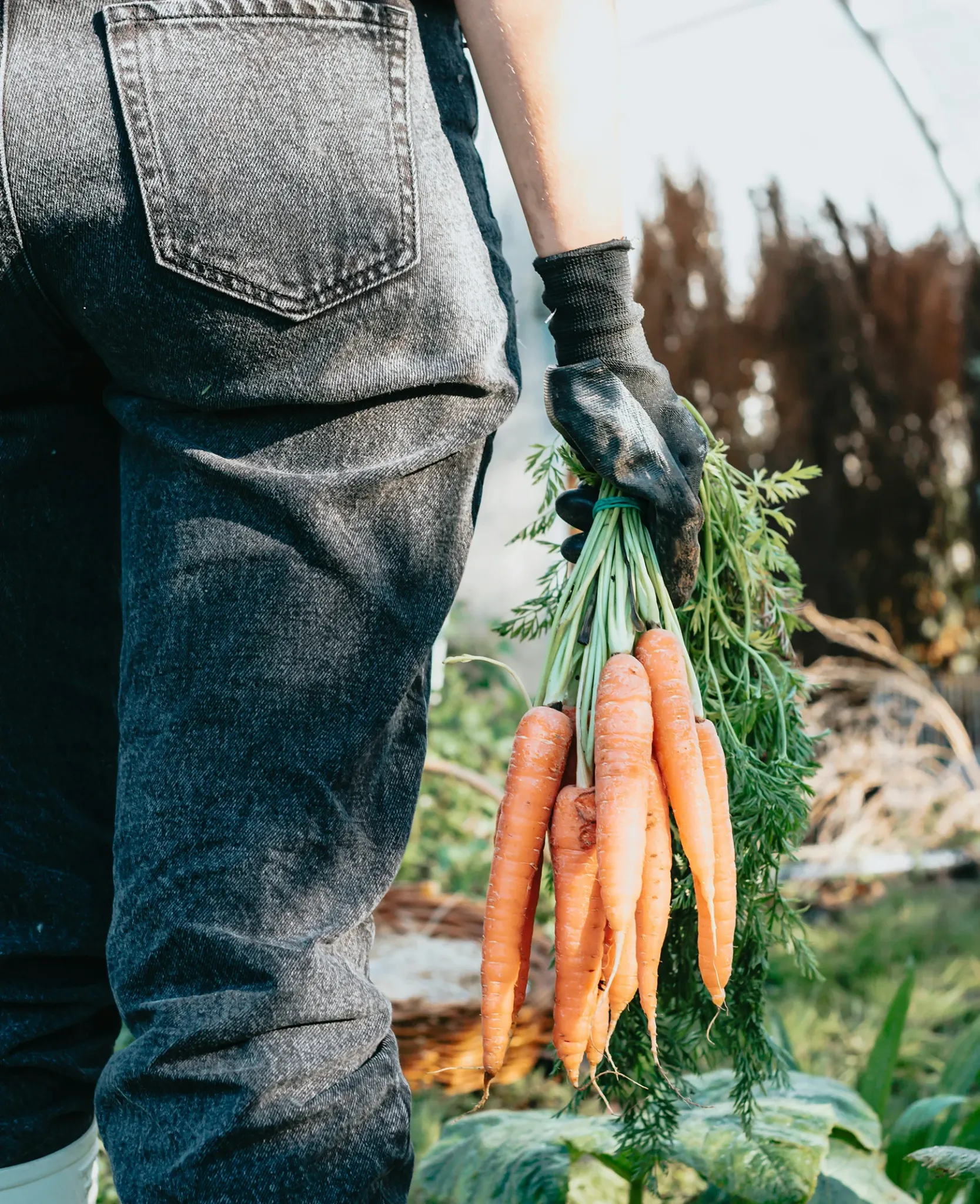 Nos actions Antigaspillage