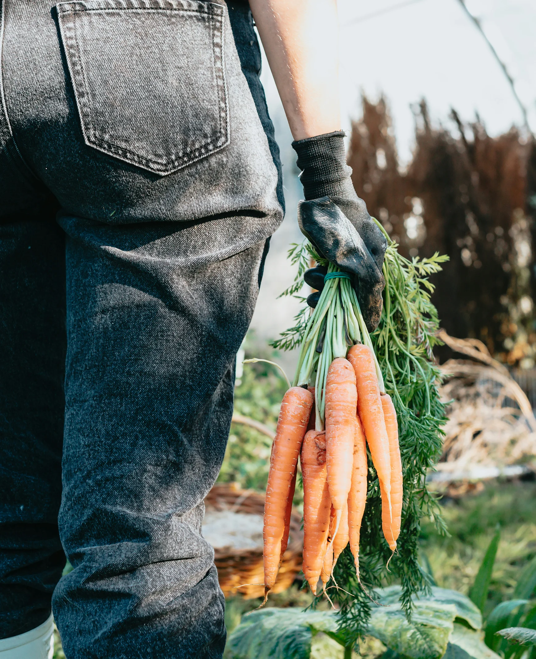 Nos actions Antigaspillage