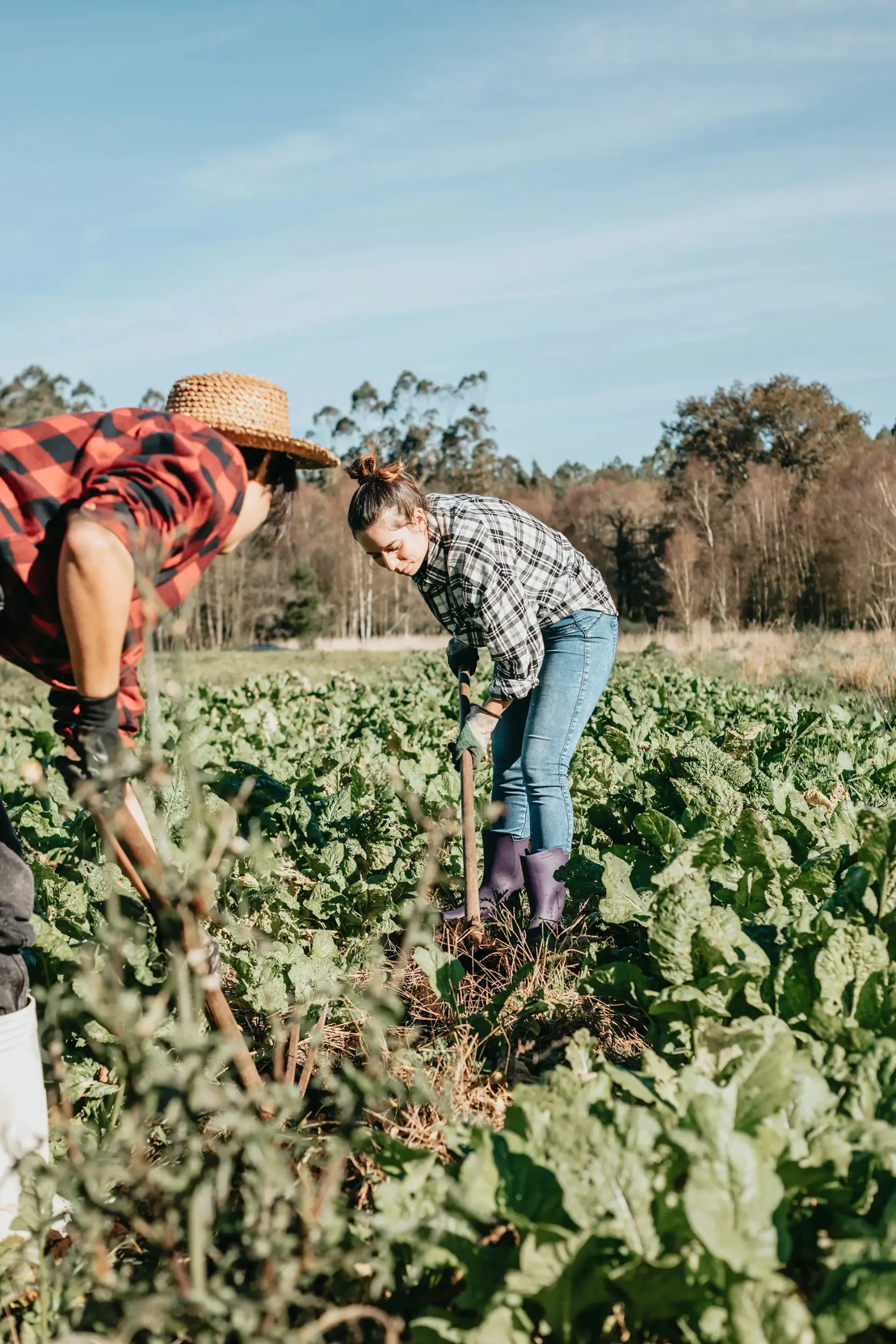 Transformons le gaspillage alimentaire en entraide concrète