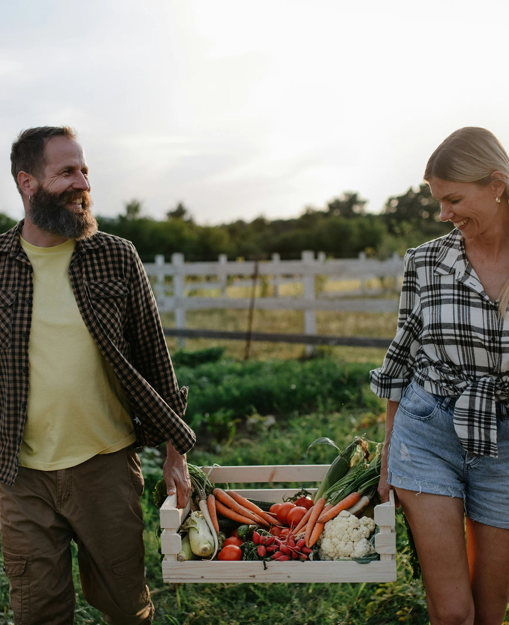 Nos actions - Antigaspillage Brome-Missiquoi