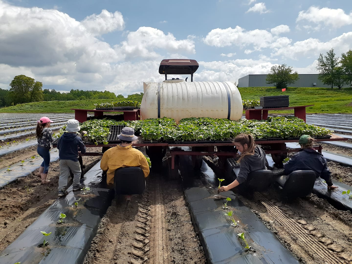 Ramassage des surplus maraîchers